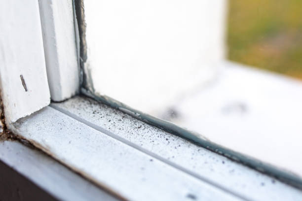 Best Mold Remediation for Healthcare Facilities  in Fuquay Varina, NC